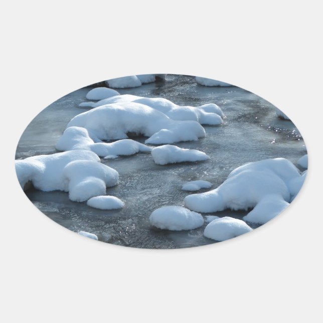 Pegatina Ovalada Escena Ártica (Anverso)