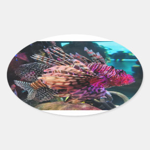 Pegatina Ovalada Espectacular Lionfish