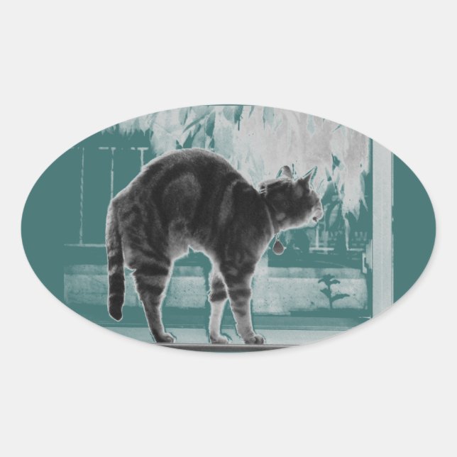 Pegatina Ovalada Estirando Índigo B+W (Anverso)