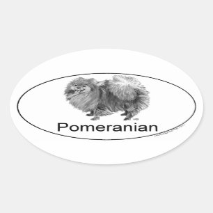 Pegatina Ovalada Euro Pomerania