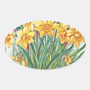 Pegatina Ovalada fecha rsvp flores narciso amarillo vintage