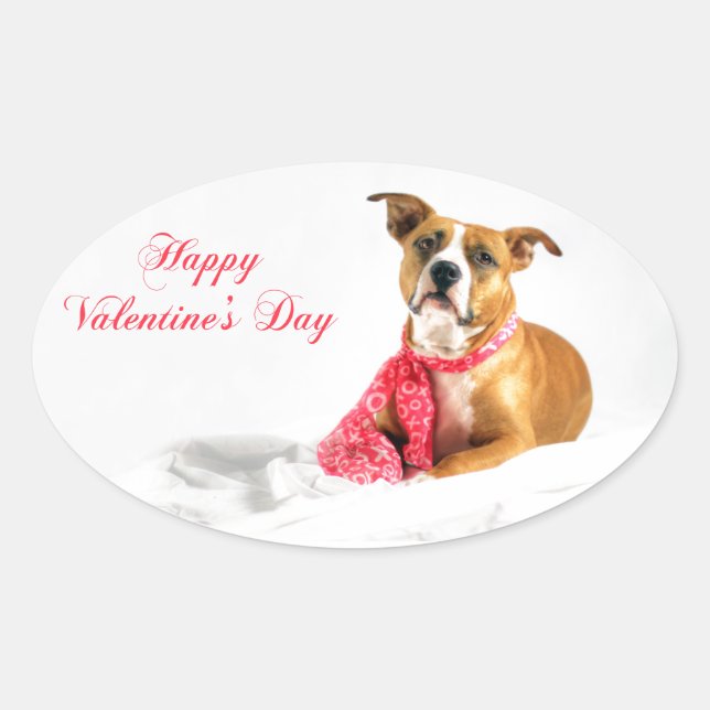 Pegatina Ovalada Feliz Día de San Valentín Pitbull (Anverso)
