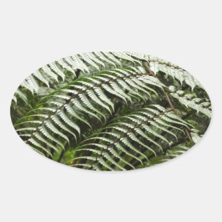 Pegatina Ovalada Fern Fronds II Naturaleza verde oscura