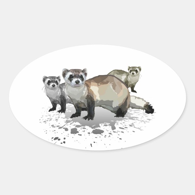 Pegatina Ovalada Ferrets (Anverso)