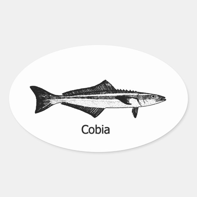Pegatina Ovalada Fish Cobia (Anverso)