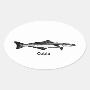 Pegatina Ovalada Fish Cobia