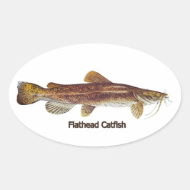 Pegatina Ovalada Flathead Catfish
