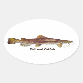 Pegatina Ovalada Flathead Catfish