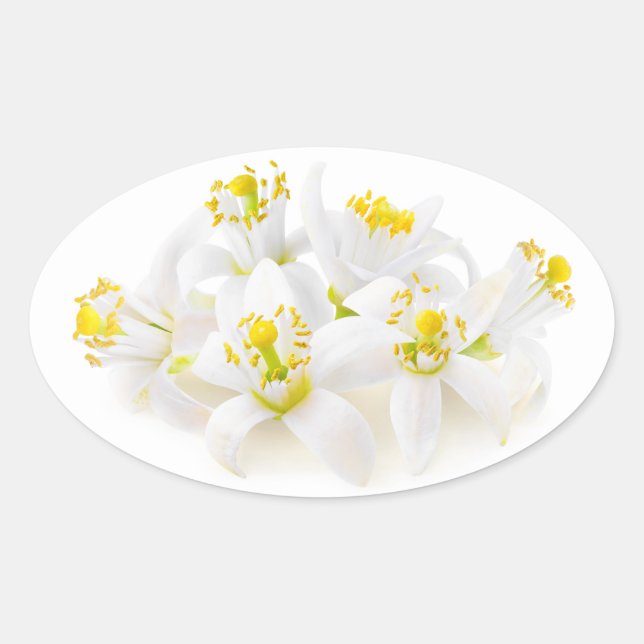 Pegatina Ovalada Fleur d'oranger (Anverso)