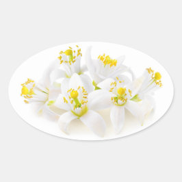 Pegatina Ovalada Fleur d'oranger