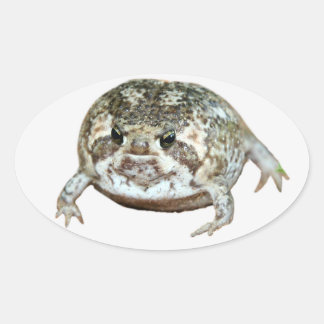 Pegatina Ovalada Flog