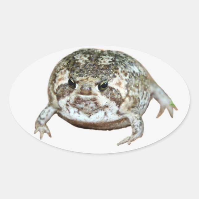 Pegatina Ovalada Flog (Anverso)