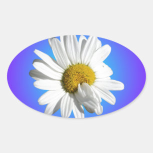Pegatina Ovalada Flor blanca de margarita floral gradiente azul púr