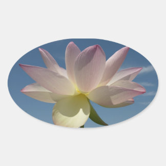 Pegatina Ovalada Flor de Lotus y cielo azul II