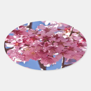 Pegatina Ovalada Flores de Cerezo Sakura Estrellas Rojas