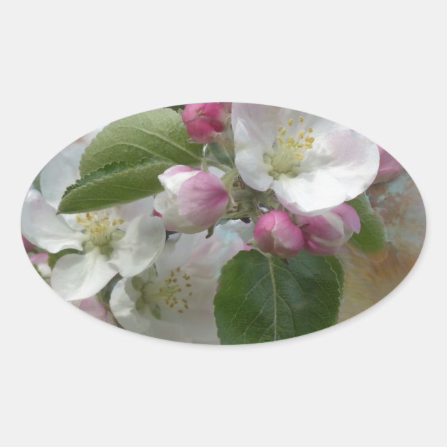 Pegatina Ovalada Flores de manzana (Anverso)
