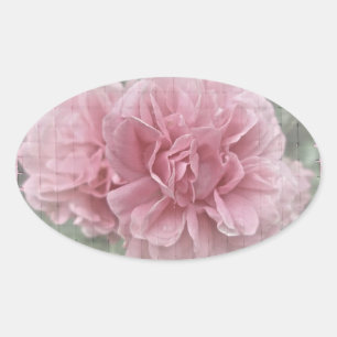 Pegatina Ovalada Flores de Rosa de escalada rosa
