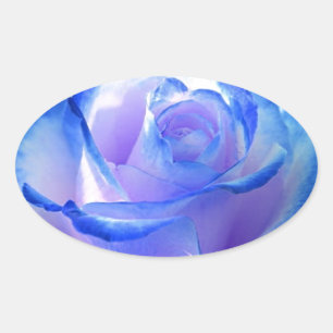 Pegatina Ovalada flores enredaderas pétalo rosa flores flor azul am