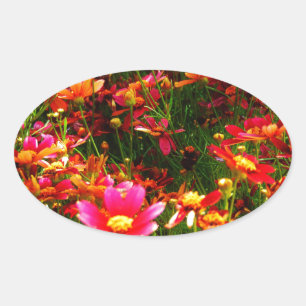 Pegatina Ovalada Flores negras rosadas y amarillas Daisy Wild