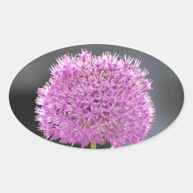 Pegatina Ovalada Flores para todos (Anverso)