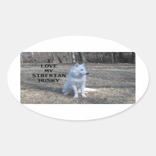 Pegatina Ovalada foto de amor blanco husky siberiano