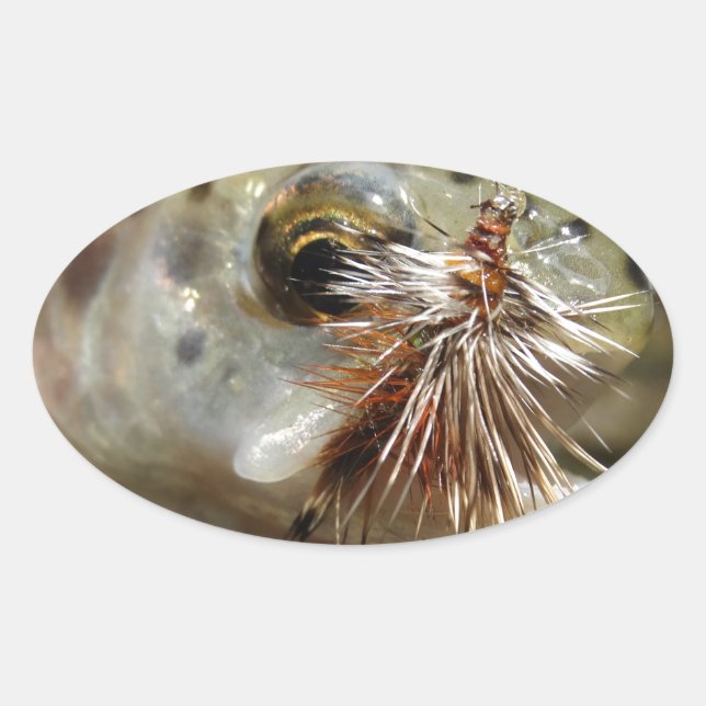 Pegatina Ovalada Foto de Rainbow Trout (Anverso)