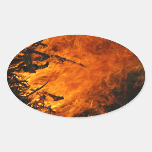 Pegatina Ovalada Fuego furioso