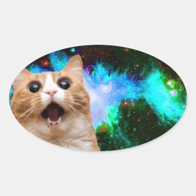 PEGATINA OVALADA GALAXY SPACE CAT (Anverso)