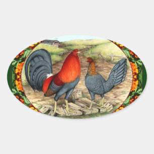 Pegatina Ovalada Gallinas de Juego Hermosas