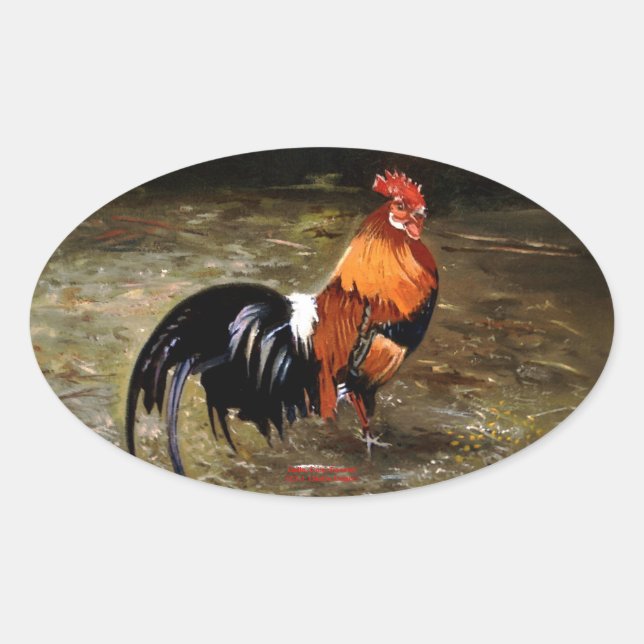 Pegatina Ovalada Gallo/Galo/Rooster (Anverso)