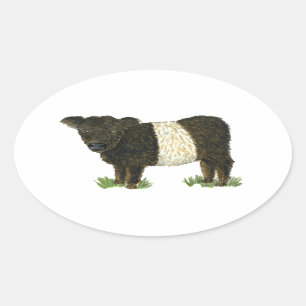 Pegatina Ovalada Galloway con correa 'Beltie'
