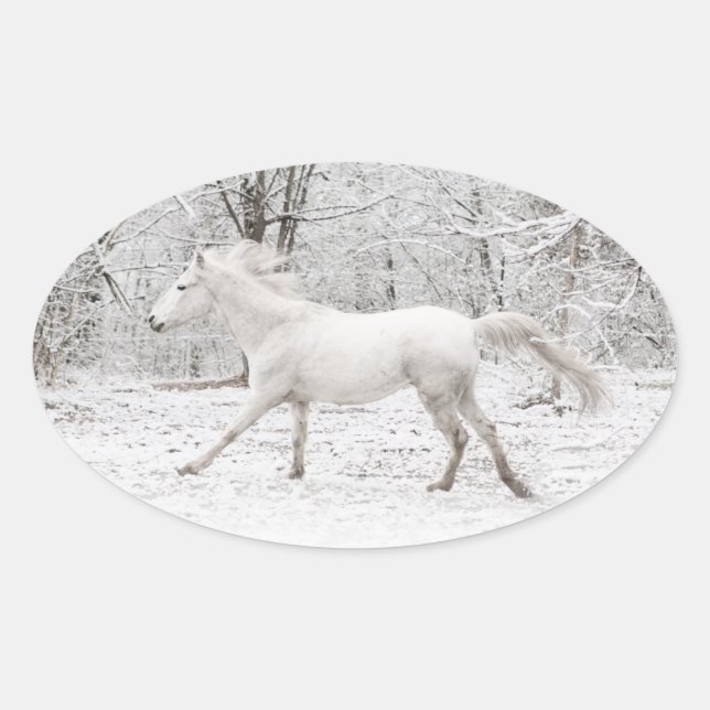 Pegatina Ovalada Galopando caballo blanco en la nieve (Anverso)