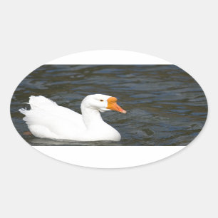 Pegatina Ovalada Ganso chino blanco