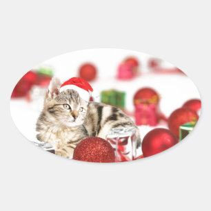 Pegatina Ovalada Gato con adorno de Navidad sombrero rojo de Santa