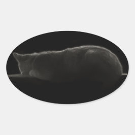 Pegatina Ovalada Gato durmiente de la fotografía