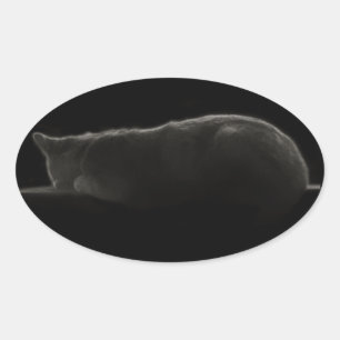 Pegatina Ovalada Gato durmiente de la fotografía