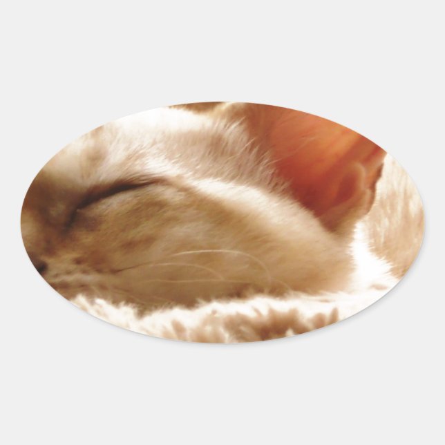 Pegatina Ovalada Gato somnoliento (Anverso)