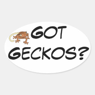 Pegatina Ovalada Geckos con imagen de Gecko