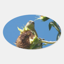 Pegatina Ovalada Goldfinch