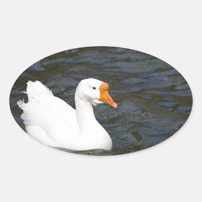 Pegatina Ovalada Goma blanco chino (Anverso)