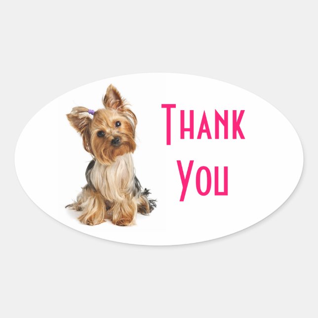 Pegatina Ovalada Gracias Yorkshire Terrier Puppy Dog Pegatinas (Anverso)