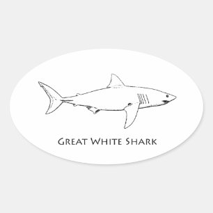Pegatina Ovalada Gran tiburón blanco (arte de la línea)