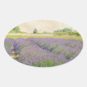 Pegatina Ovalada Granja de lavanda - con problemas