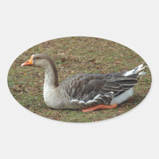 Pegatina Ovalada Greylag Swan Goose Cross