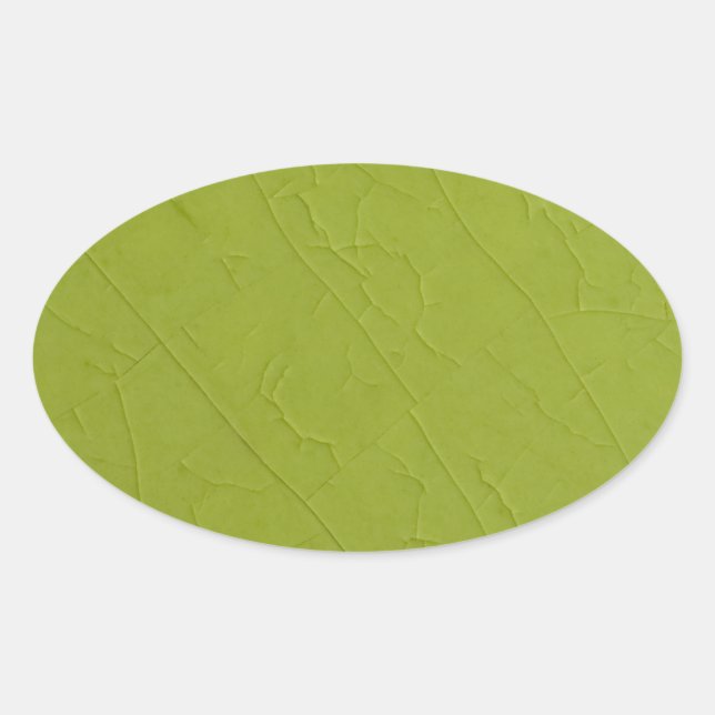 Pegatina Ovalada Grietas de piedra de Citron (Anverso)