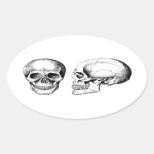 Pegatina Ovalada Gris Human Skulls Face Side