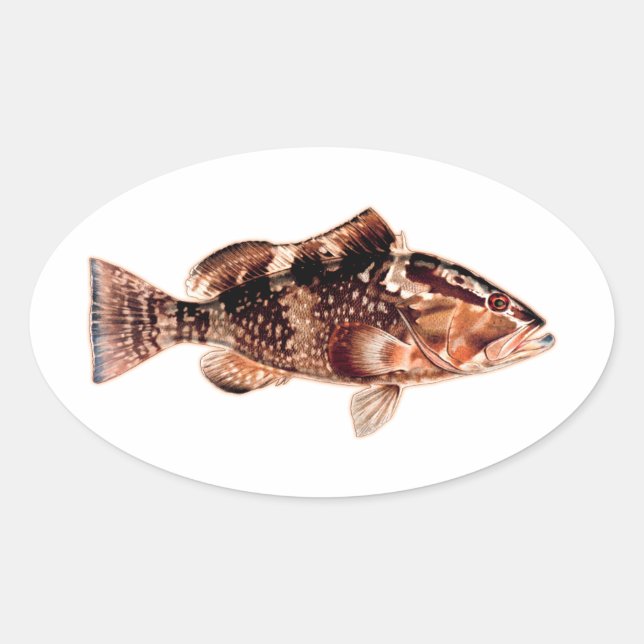 Pegatina Ovalada Grouper Fish (Anverso)
