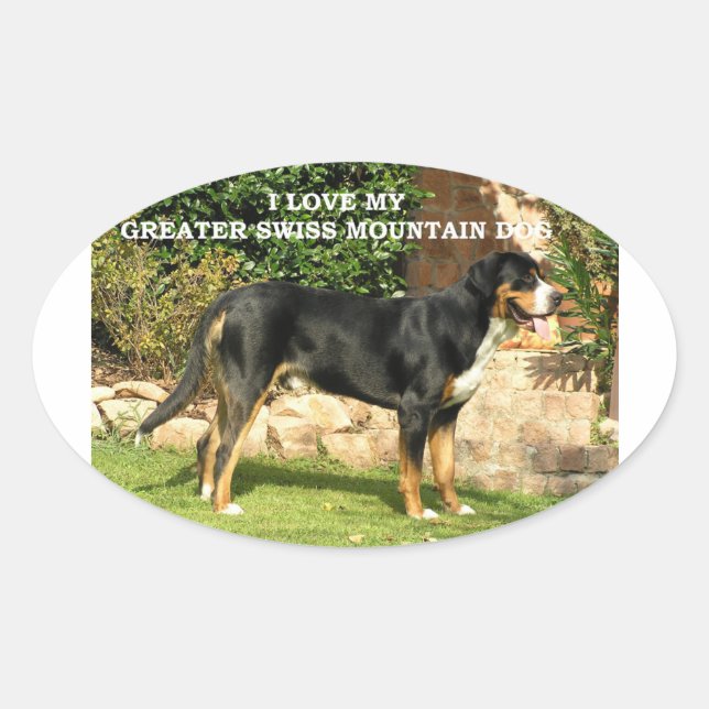 Pegatina Ovalada gsmd love w pic (Anverso)