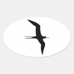 Pegatina Ovalada Guerra de O del hombre (frigatebird magnífico)