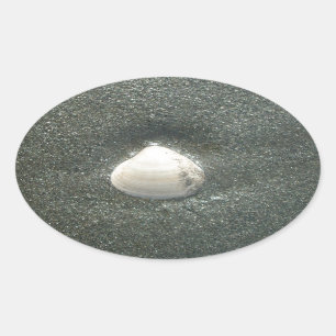 Pegatina Ovalada Hermosa concha de mar en la arena: Un recuerdo sal